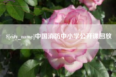 常德中国消防中小学公开课回放