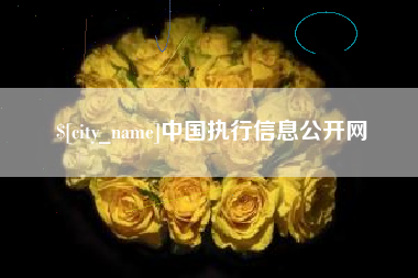 常德中国执行信息公开网