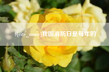 常德我国消防日是每年的
