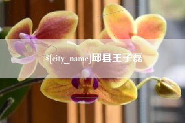 常德邱县王子磊