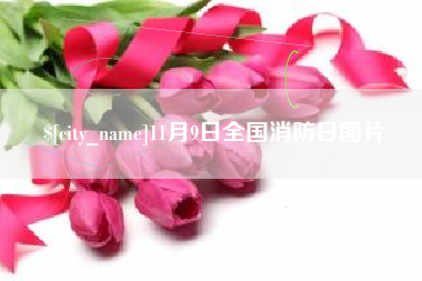 常德11月9日全国消防日图片