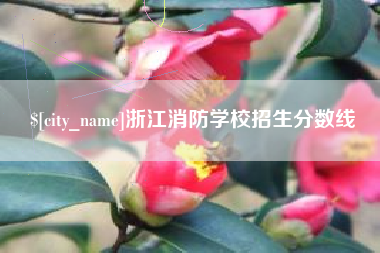 常德浙江消防学校招生分数线