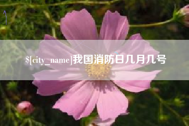 常德我国消防日几月几号
