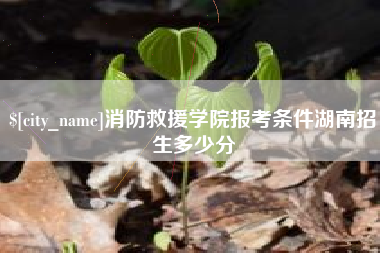 常德消防救援学院报考条件湖南招生多少分