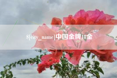 常德中国金牌18金