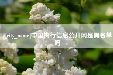 常德中国执行信息公开网是黑名单吗