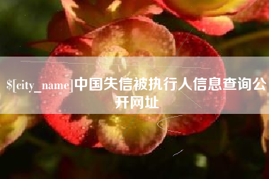 常德中国失信被执行人信息查询公开网址