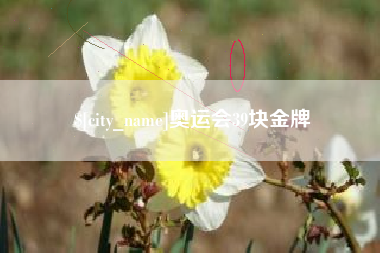 常德奥运会39块金牌