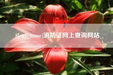 常德消防证网上查询网站