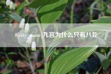 常德九宫为什么只有八卦