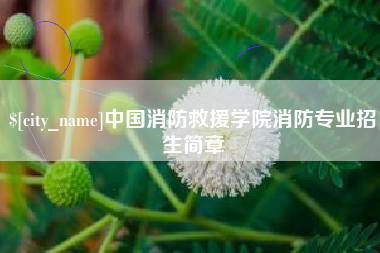 常德中国消防救援学院消防专业招生简章
