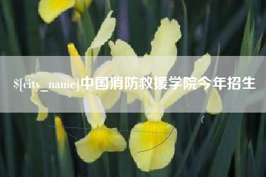 常德中国消防救援学院今年招生