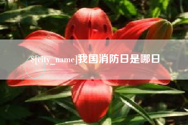 常德我国消防日是哪日