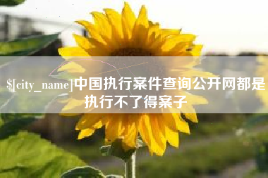 常德中国执行案件查询公开网都是执行不了得案子