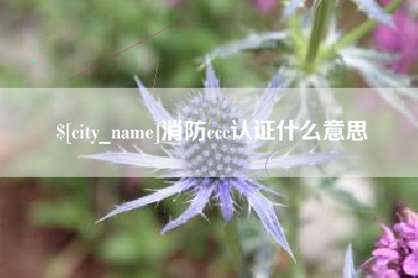 常德消防ccc认证什么意思