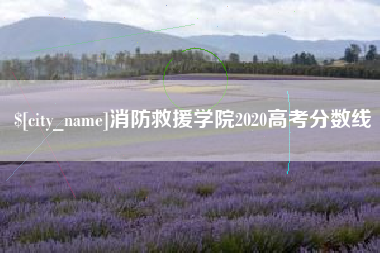 常德消防救援学院2020高考分数线