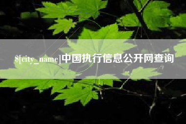 常德中国执行信息公开网查询