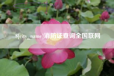 常德消防证查询全国联网