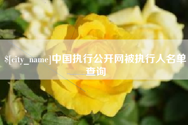 常德中国执行公开网被执行人名单查询