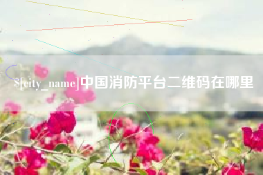 常德中国消防平台二维码在哪里