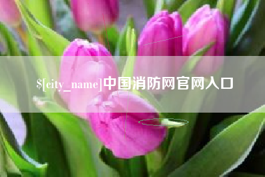 常德中国消防网官网入口