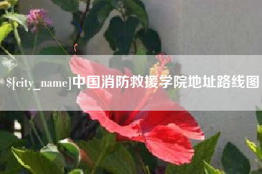 常德中国消防救援学院地址路线图
