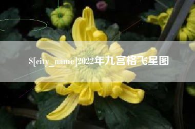 常德2022年九宫格飞星图