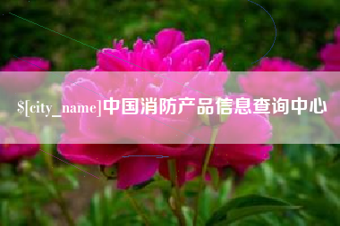 常德中国消防产品信息查询中心