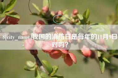 常德我国的消防日是每年的11月9日对吗？