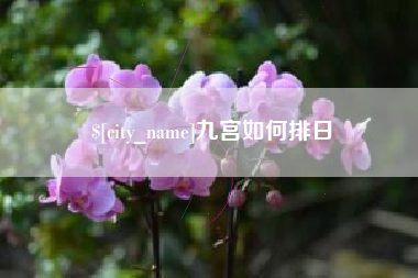 常德九宫如何排日