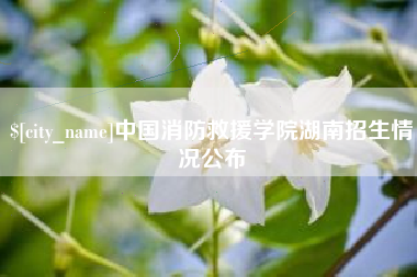 常德中国消防救援学院湖南招生情况公布