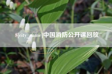常德中国消防公开课回放