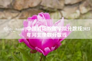 常德中国消防救援学院分数线2023年河北录取分数线