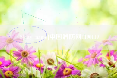 常德中国消防网1190119