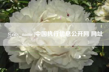 常德中国执行信息公开网 网址