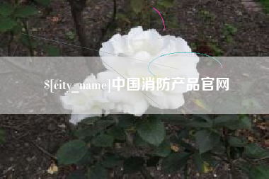 常德中国消防产品官网