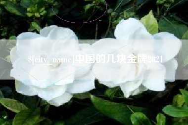 常德中国的几块金牌2021