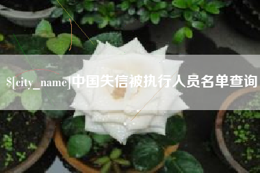 常德中国失信被执行人员名单查询