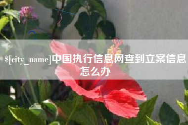 常德中国执行信息网查到立案信息怎么办