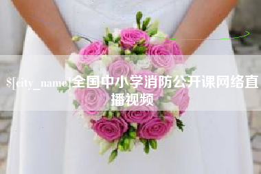 常德全国中小学消防公开课网络直播视频