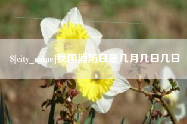 常德我国消防日是几月几日几日