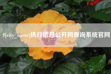 常德执行信息公开网查询系统官网
