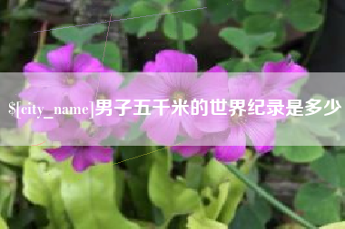 常德男子五千米的世界纪录是多少