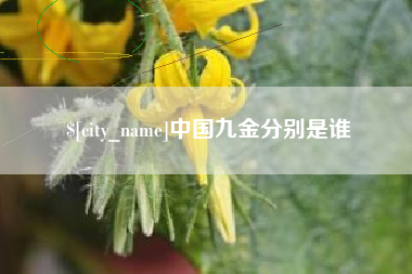 常德中国九金分别是谁