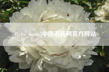 常德中国消防网官方网站