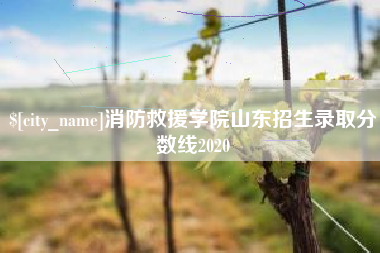 常德消防救援学院山东招生录取分数线2020