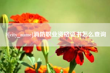 常德消防职业资格证书怎么查询