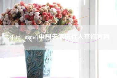 常德中国失信执行人查询官网