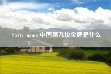 常德中国第九块金牌是什么