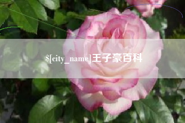 常德王子豪百科